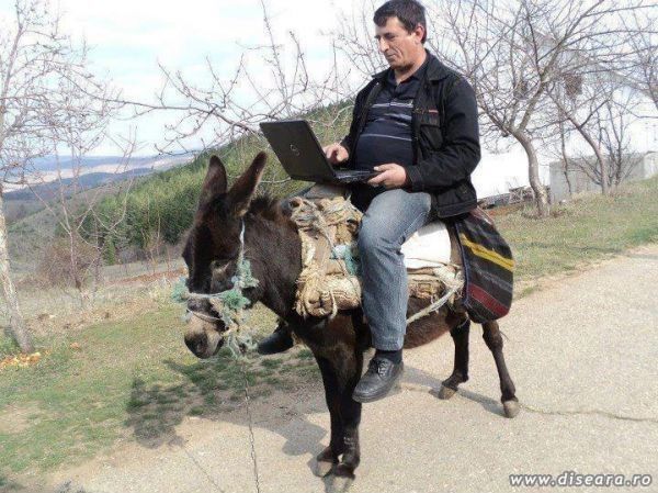 Poza pozelor din tot neamul pozelor