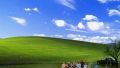 Windows XP wallpaper for Romania