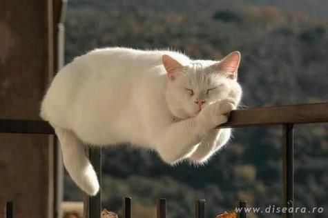 Equilibrium