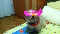 Happy Halloween!