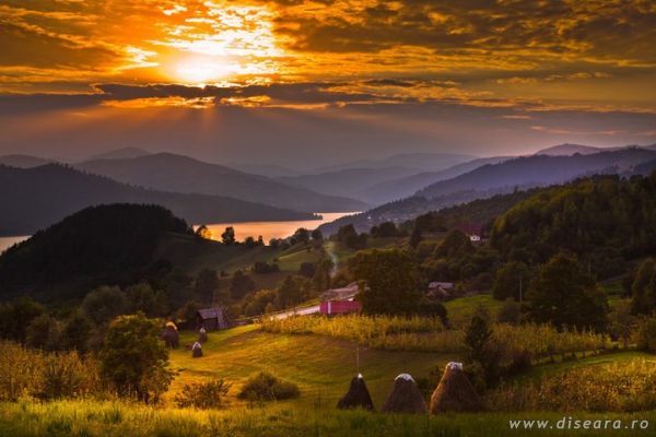 At the country