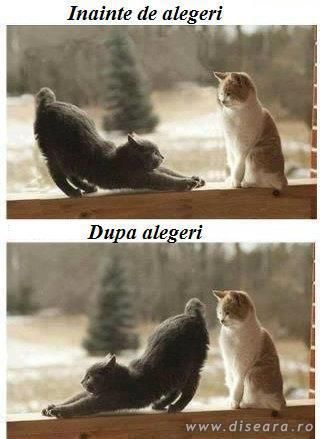 Inainte si dupa alegeri