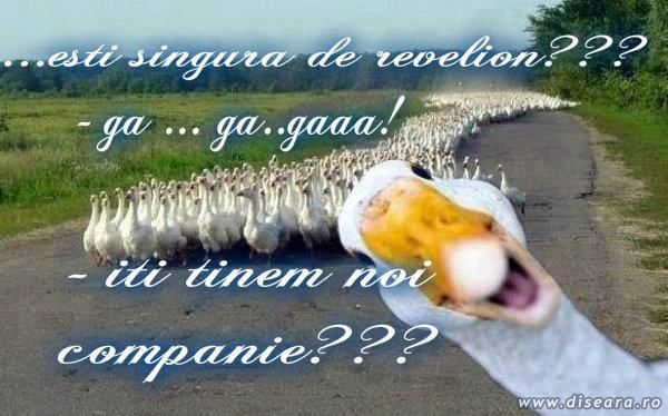 Pentru cele singure.