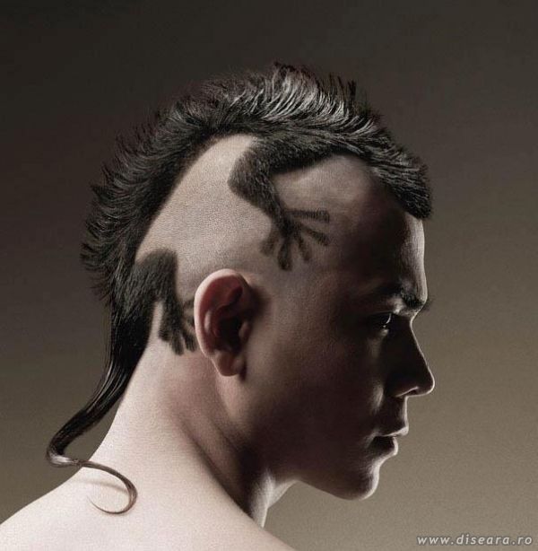 Iguana style 