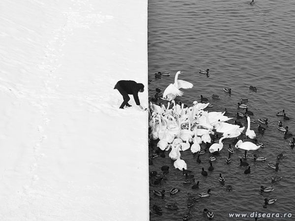 The perfect contrast