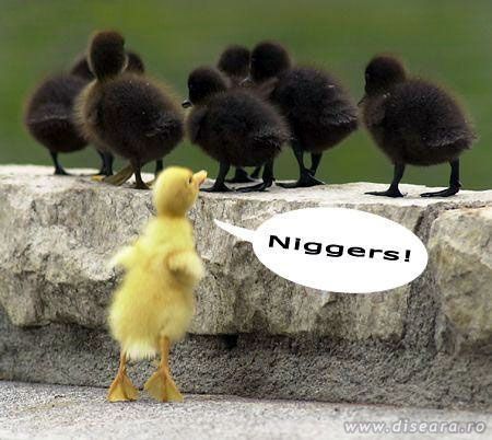 Racism