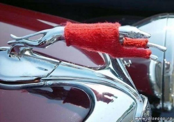Sa nu raceasca Jaguaru!