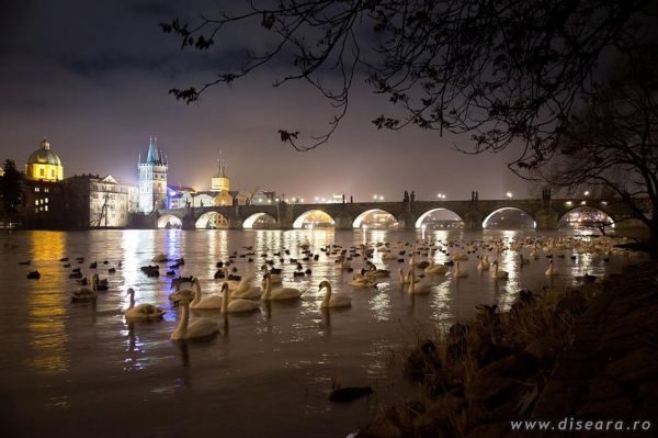 Praga... dupa inundatii