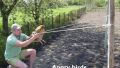 Joaca cineva Angry birds ?