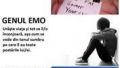 The Facebook users