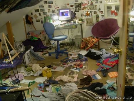 Caut femeie in casa! URGENT!