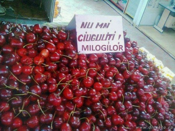 Marketing