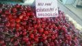 Marketing