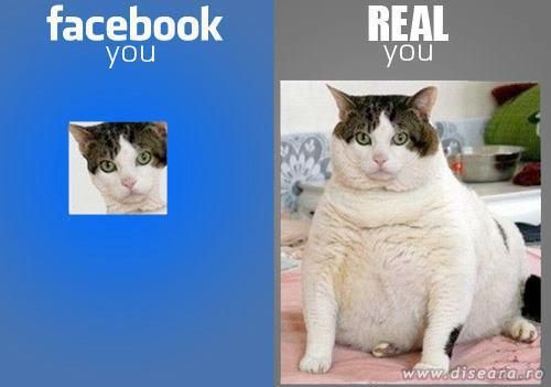 On Facebook