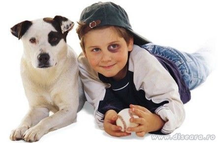 Stăpânul este ca şi câinele sau invers ? (II)