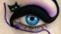 The black cat