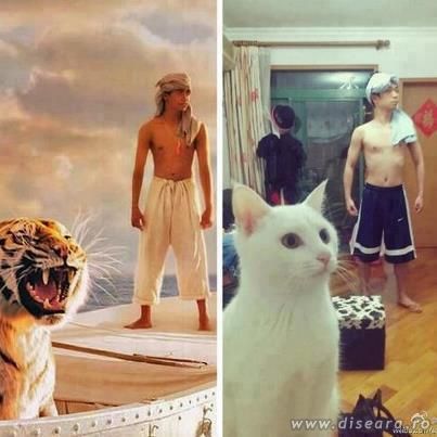 Find the differences
