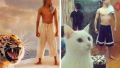 Find the differences