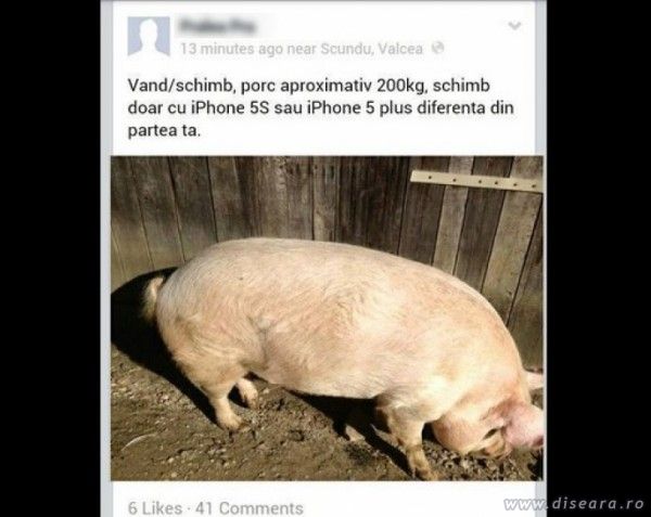 Schimb porc cu iPhone5