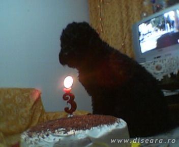 FOR MY BIRTHDAY!