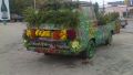 Urban flowers