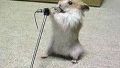 KARAOKE