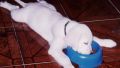 Another image from the "Sleeping positions" series