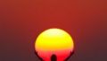 Who wants the sun ?
