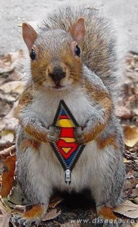 Super-Ice-Age3