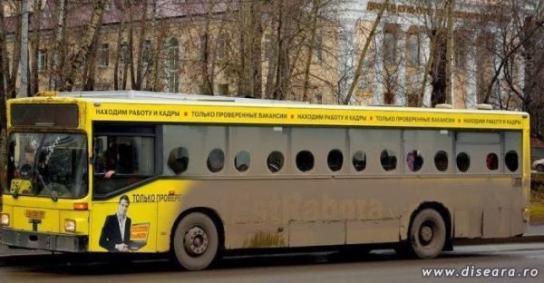 Aviobus