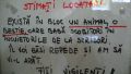 ATENTIE!!! FITI VIGILENTI!!!