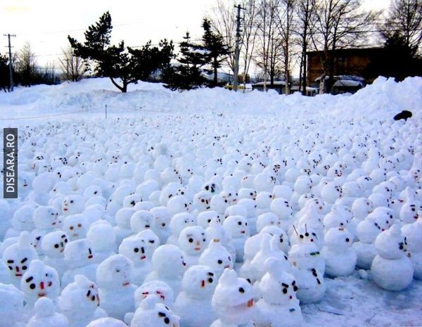 Protestul oamenilor de zapada