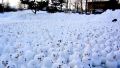 The meeting of the snowmen