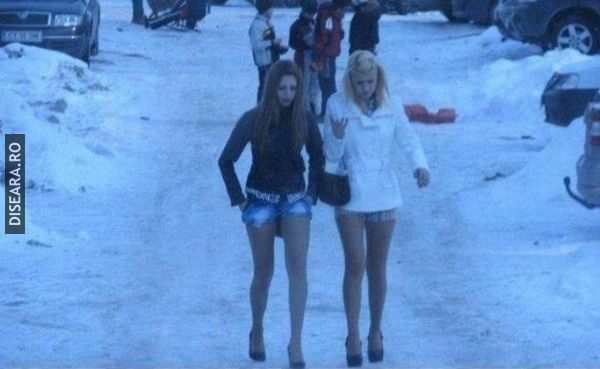 Ce mamifere nu simt frigul iarna ?