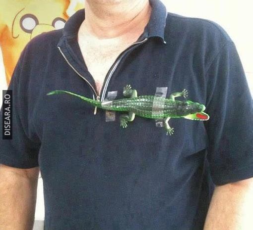 A Lacoste T-Shirt