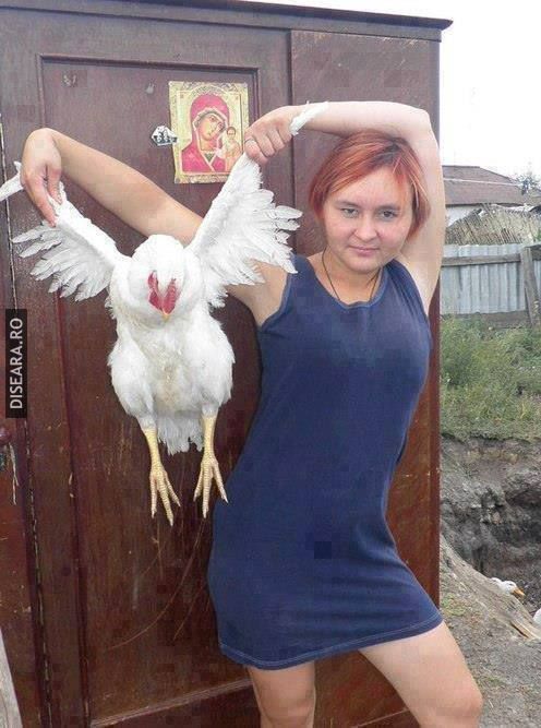 Chicken soap