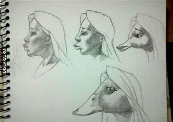 Evolution