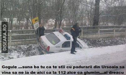 Gogule, salveaza-ma!...