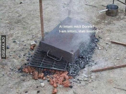 Am intors mititeii