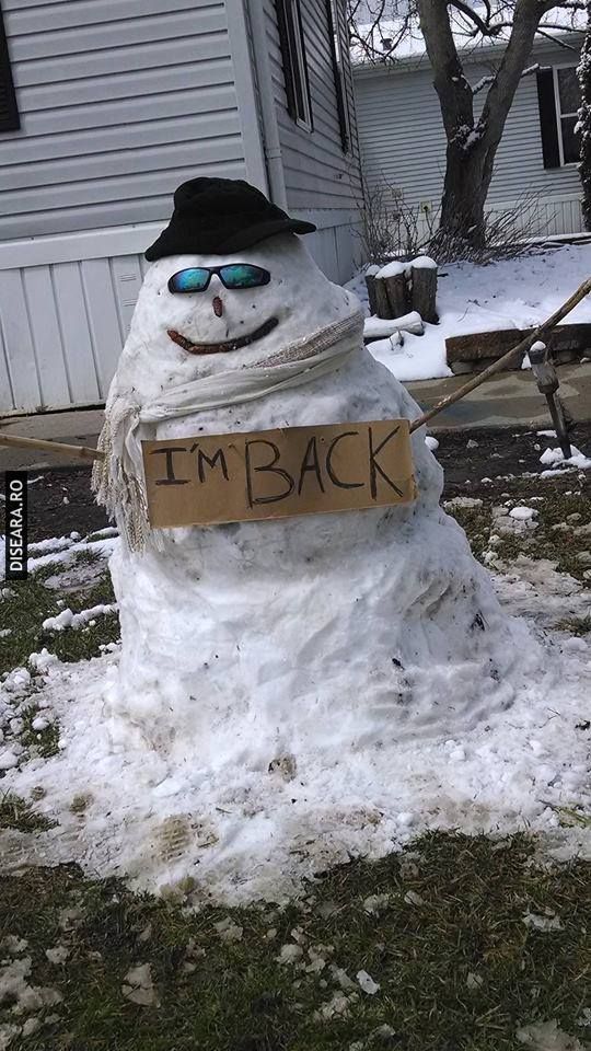 I'm back!