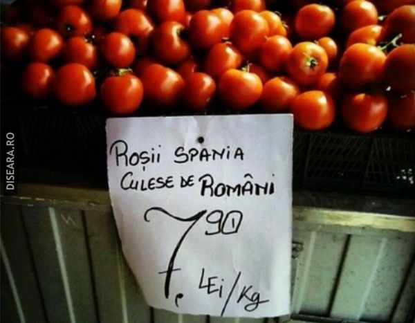 So, they are also tasty!
