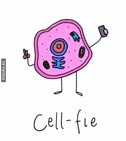 Cell-fie