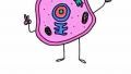 Cell-fie