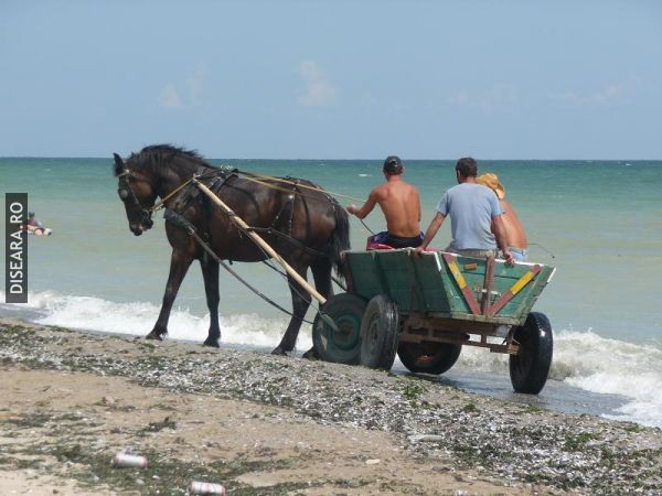 At the seaside