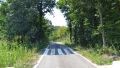 Crossing road