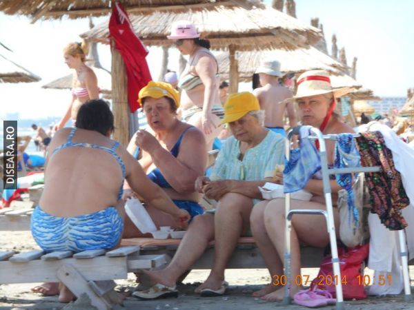 Chicks at the seaside