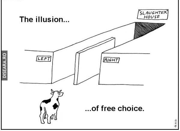 The illusion of free choice