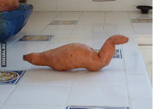 Monstrul din Loch Ness...