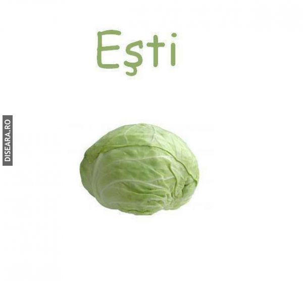 Asta este !
