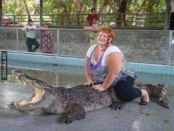 Daca si crocodilul tipa...